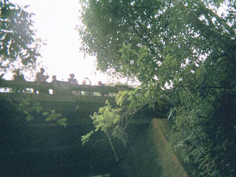 Looking up at the bridge