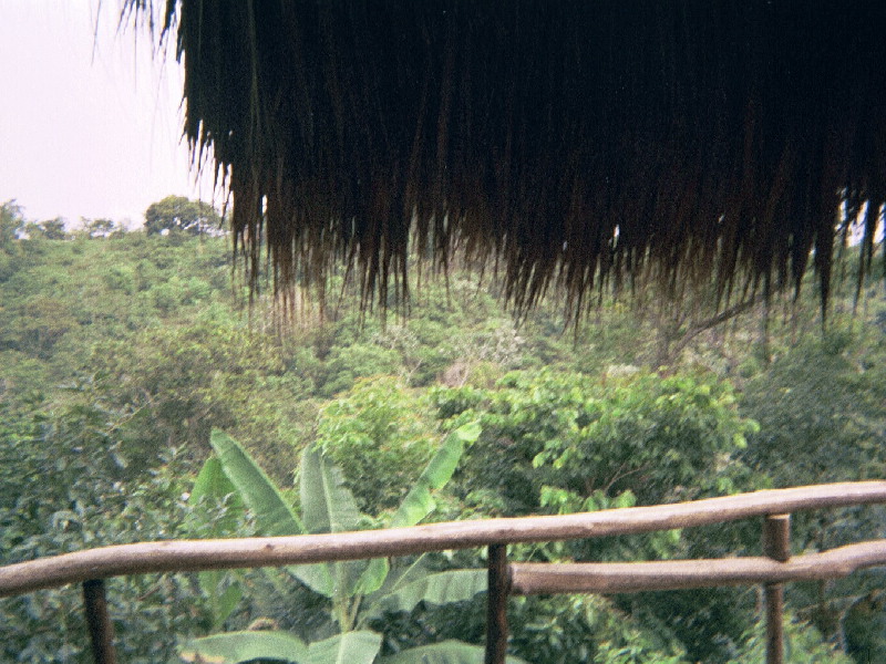 The view from the hut