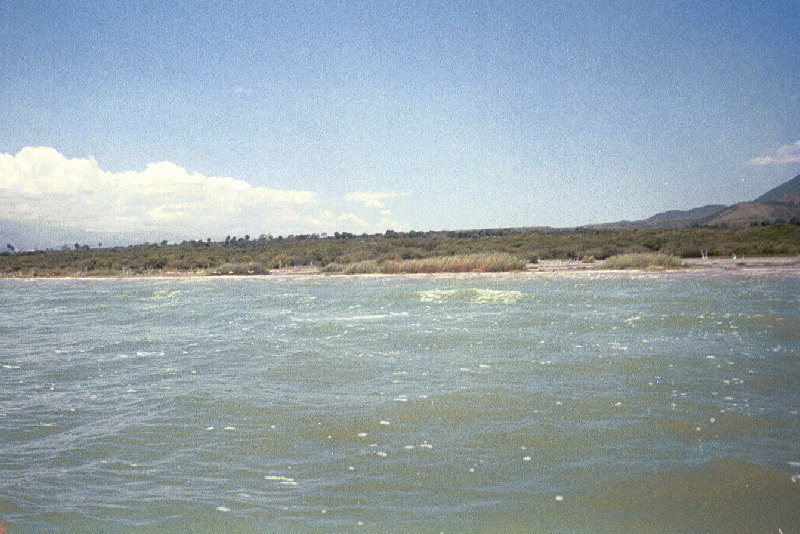 Looking out from the boat in crocodile lake