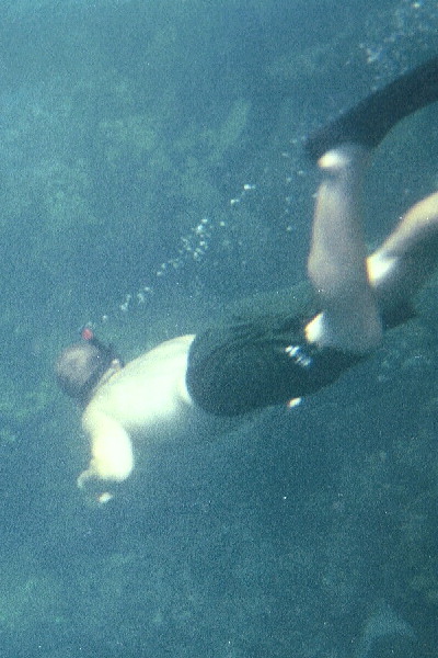 Diving for a closer look at the reefs in Monti Cristi