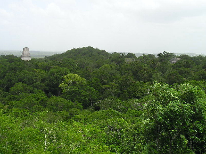 Temple 3 & Observatory from top of Temple 4