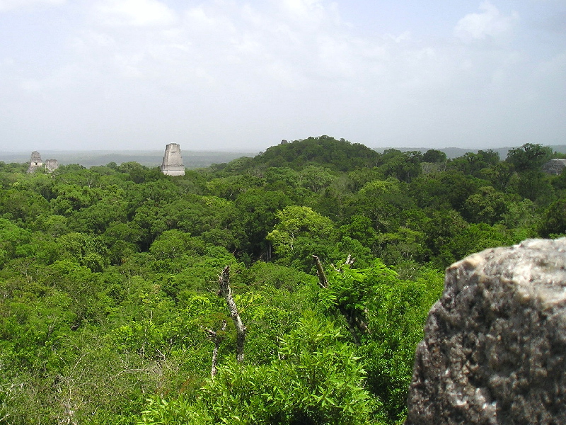 Temples 1, 2 & 3 & Observatory from top of Temple 4