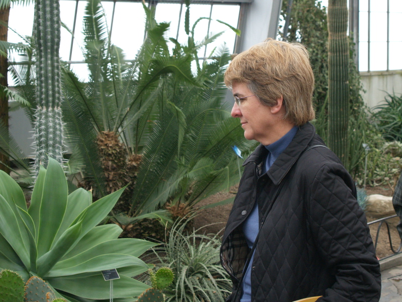 MAT, Botanical Gardens, Montreal, April 2006