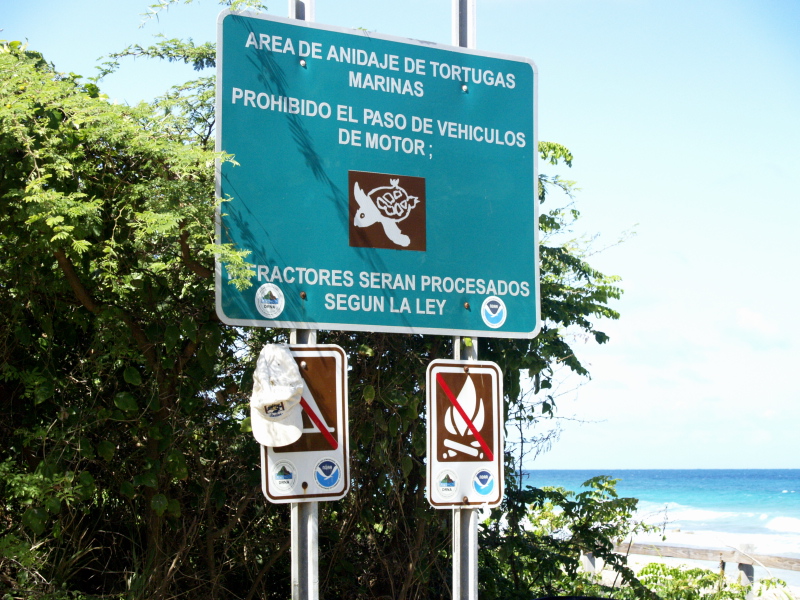 Playa Zoni