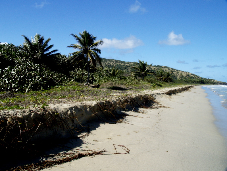 Playa Zoni