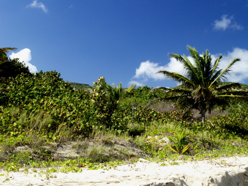 Playa Zoni