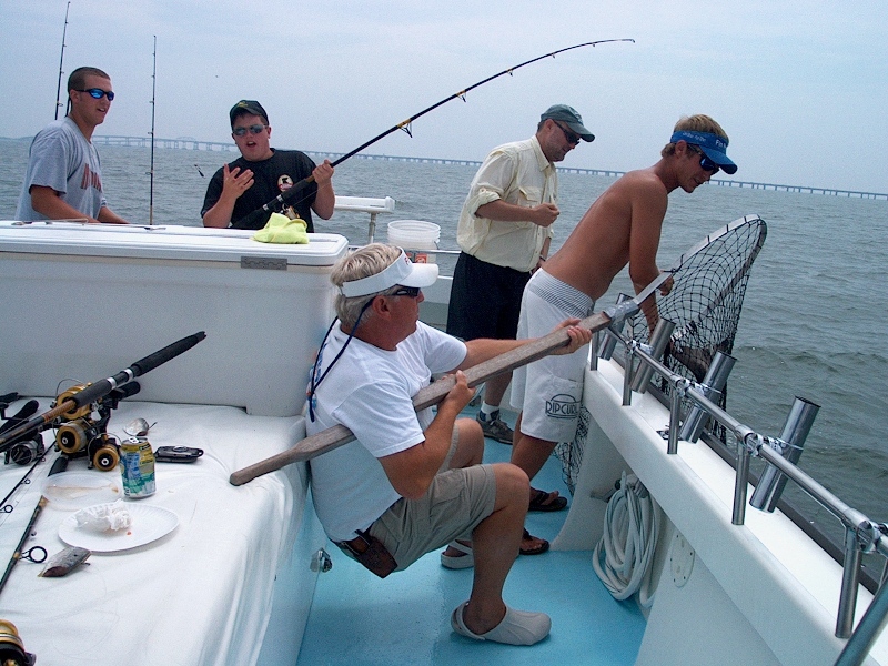 Boating a Cobia