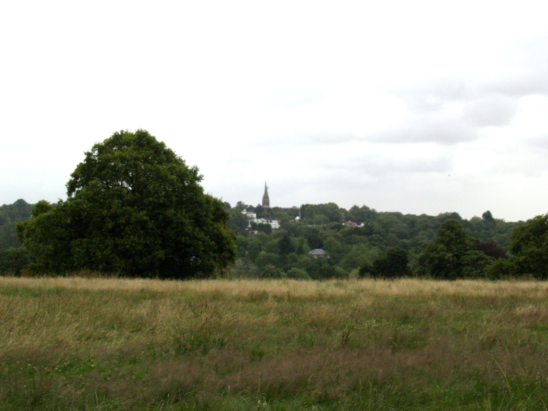 Hampstead Heath, July 26, 2007