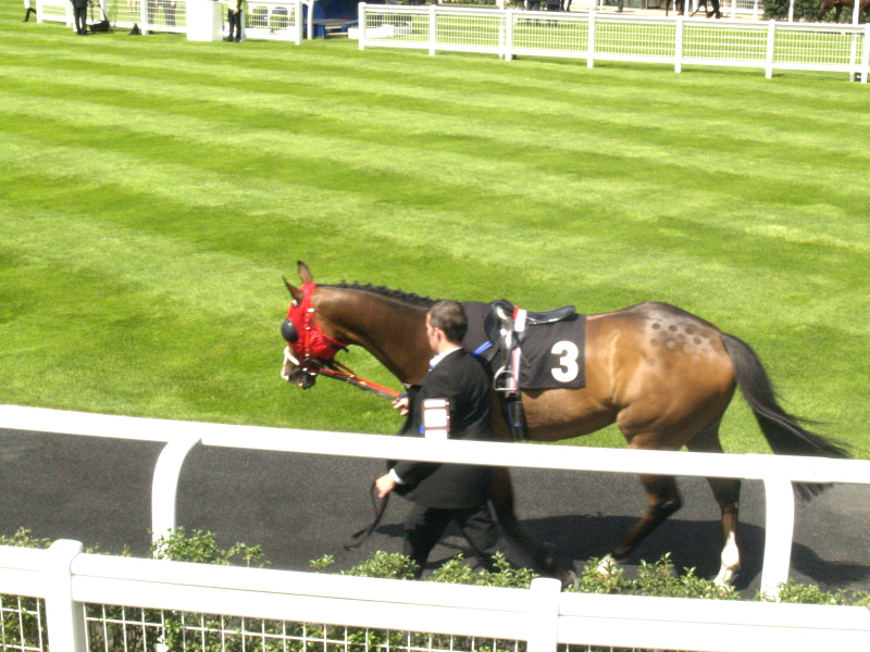 Parade Ring, Ascot, July 27, 2007