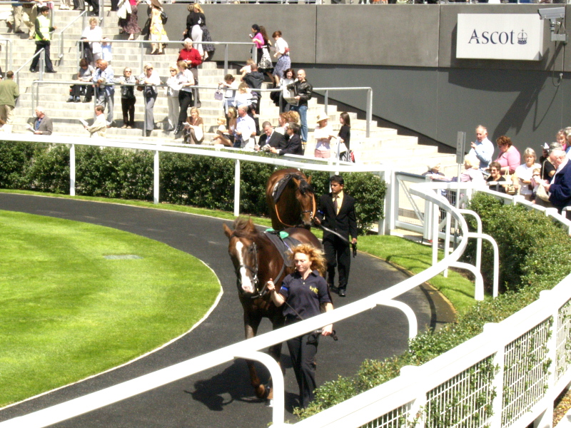 Parade Ring, Ascot, July 27, 2007