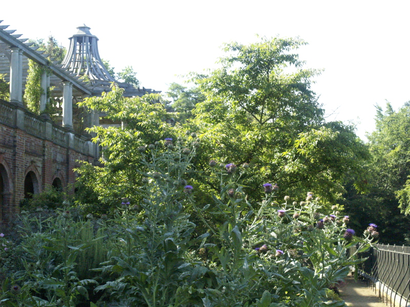 The Pergola, Hill Garden, Hampstead Heath, July 31, 2007