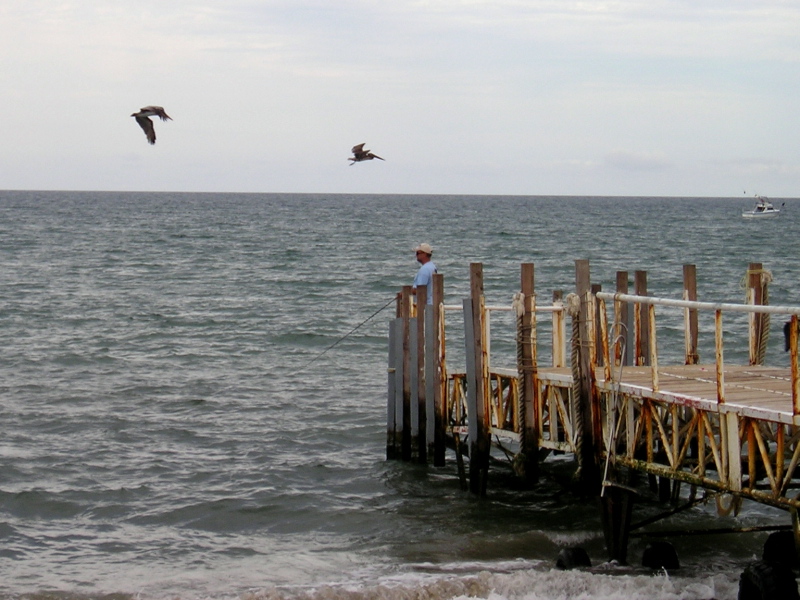 Pez gallo fishing, August 30, 2007