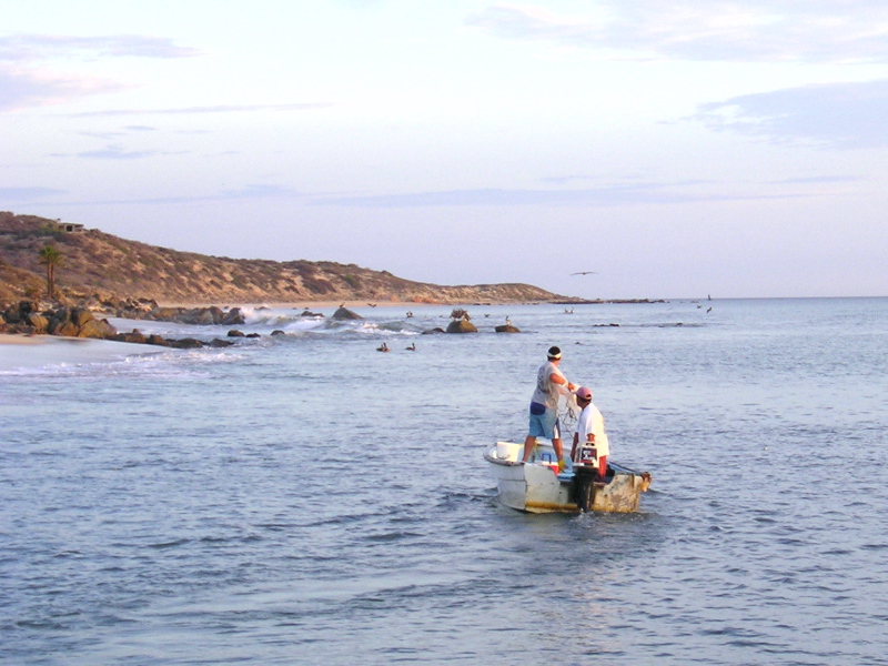 Bait Boat, August 31, 2007