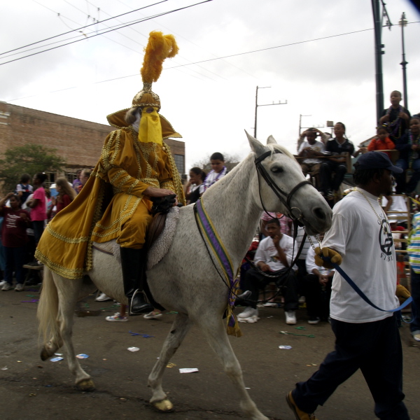 02/05/08 -- Krewe of Rex Rider