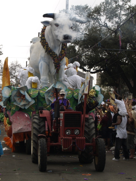 02/05/08 -- Krewe of Rex Boeuf Gras