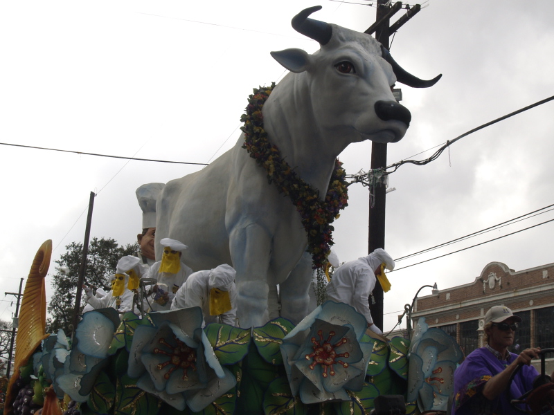 02/05/08 -- Krewe of Rex Boeuf Gras Riders