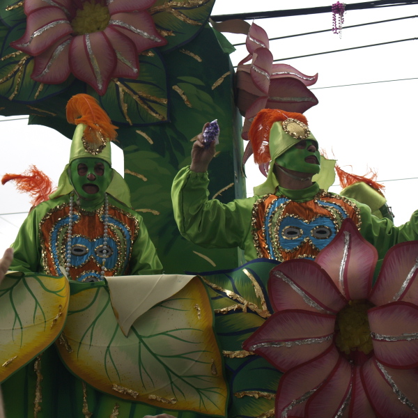 02/05/08 -- Krewe of Rex Niger Riders