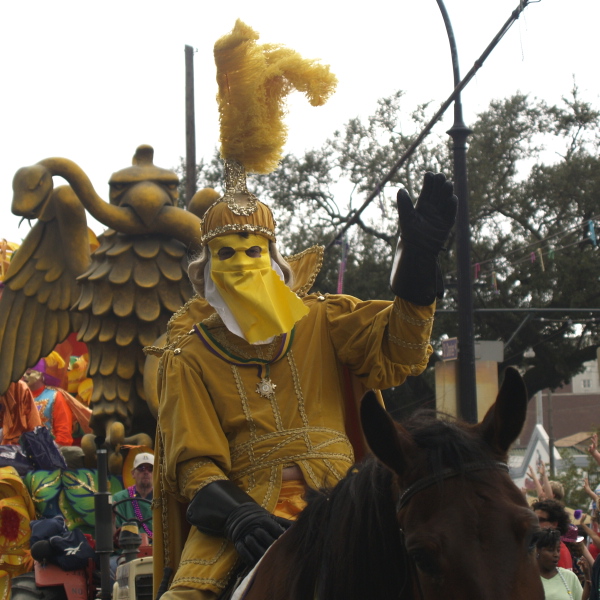 02/05/08 -- Krewe of Rex Rider