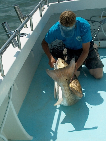 Andrew Wrestling Red Drum