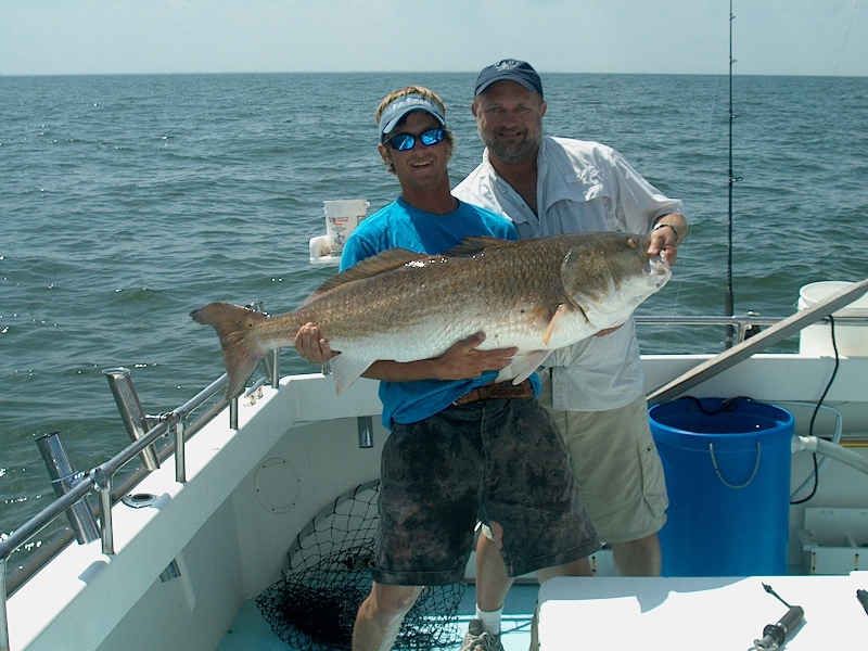 Fin Finder June 28, 2008 -- Andrew, JCT & Red Drum