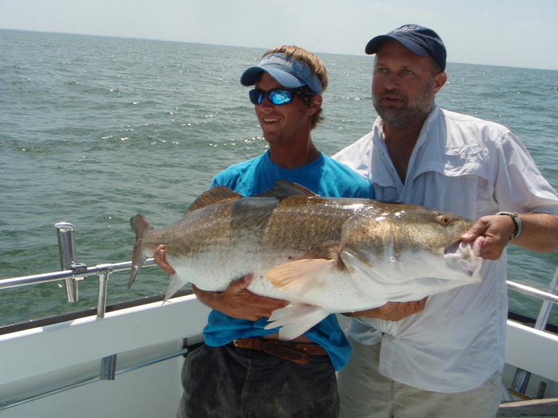 Fin Finder June 28, 2008 -- Andrew, JCT & Red Drum