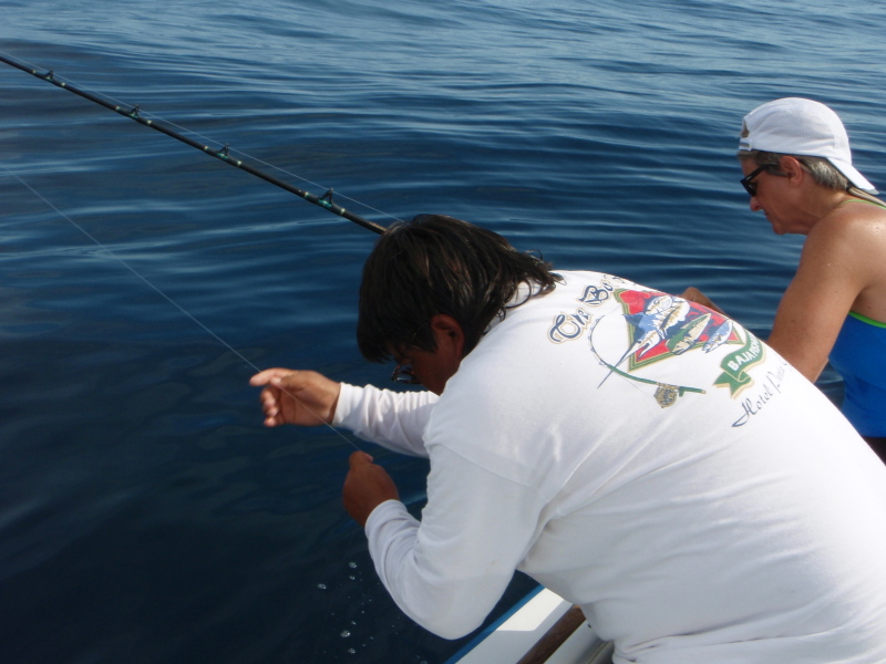Punta Colorada, July 21, 2008 -- Marge's Tuna
