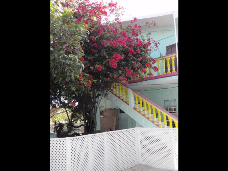 Barefoot Beach, Caye Caulker, February 22, 2011