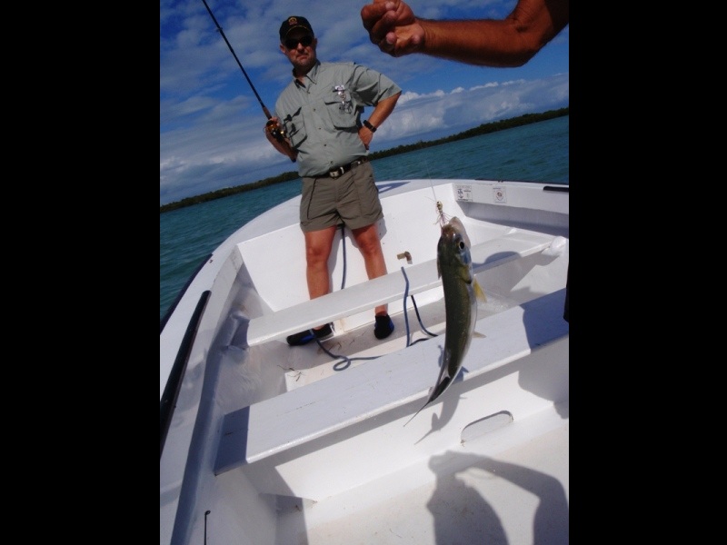 Ladyfish, On the flats, Caye Caulker, February 20, 2011