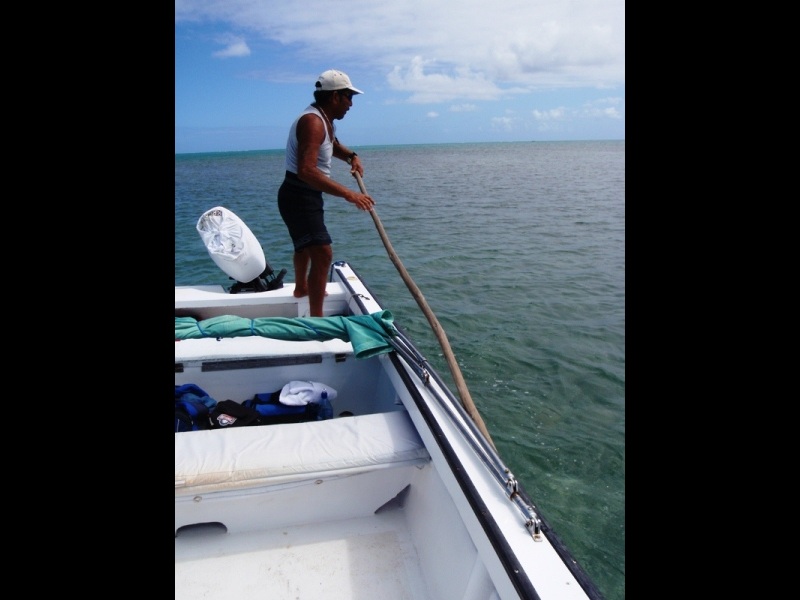 Piggie, On the flats, Caye Caulker, February 20, 2011