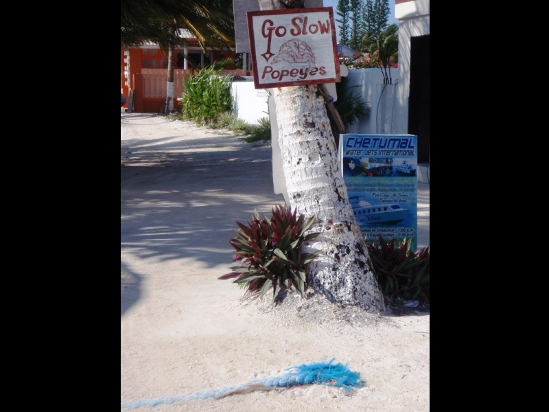 Caye Caulker, February 22, 2011