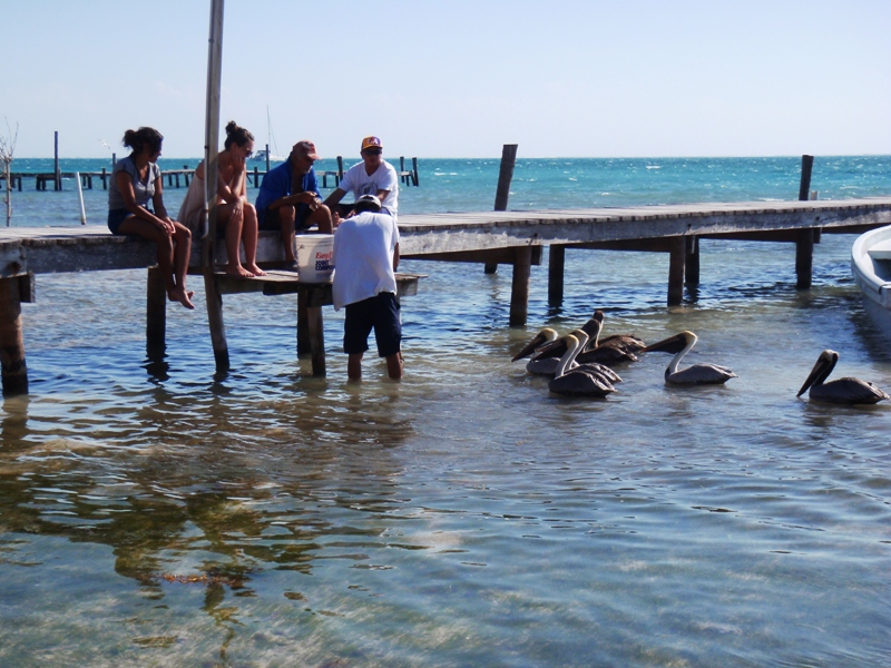 Caye Caulker, February 24, 2011