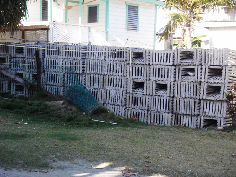 Lobster pots, Caye Caulker, February 22, 2011