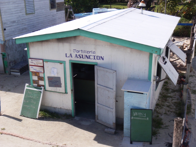 Caye Caulker, February 22, 2011