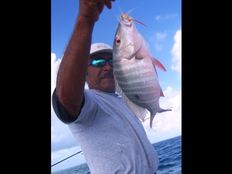 Snapper on the flats, Caye Caulker, February 26, 2011