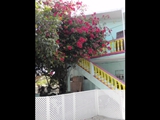 Barefoot Beach, Caye Caulker, February 22, 2011