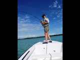 Bonefish, On the flats, Caye Caulker, February 20, 2011