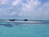 On the flats, Caye Caulker, February 26, 2011