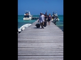 Caye Caulker, February 27, 2011