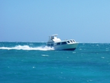 Caye Caulker, February 28, 2011