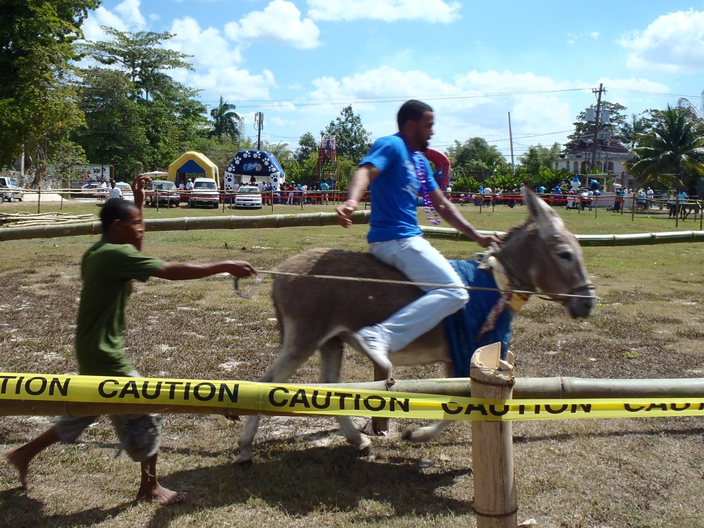 Donkey Races Negril February 10, 2013