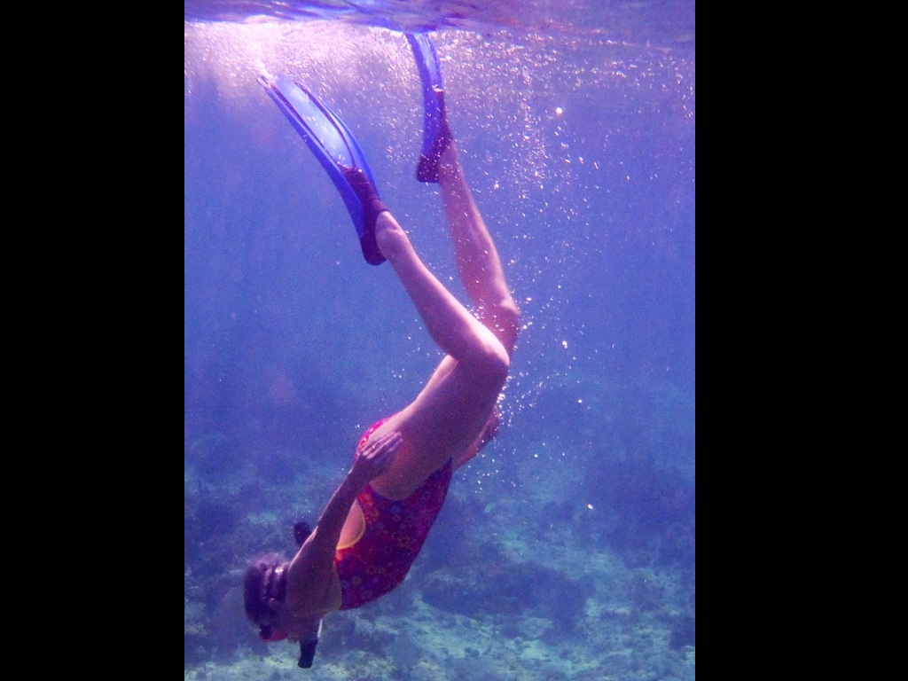 MAT Negril Reef February 12, 2013