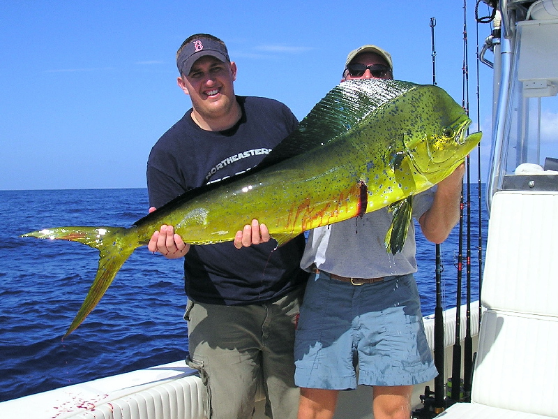 30-1/2lb Bull Dolfin, Jimmie July 14, 2004