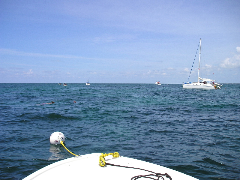 Snorkeling on Davis Reef, 07/17/04