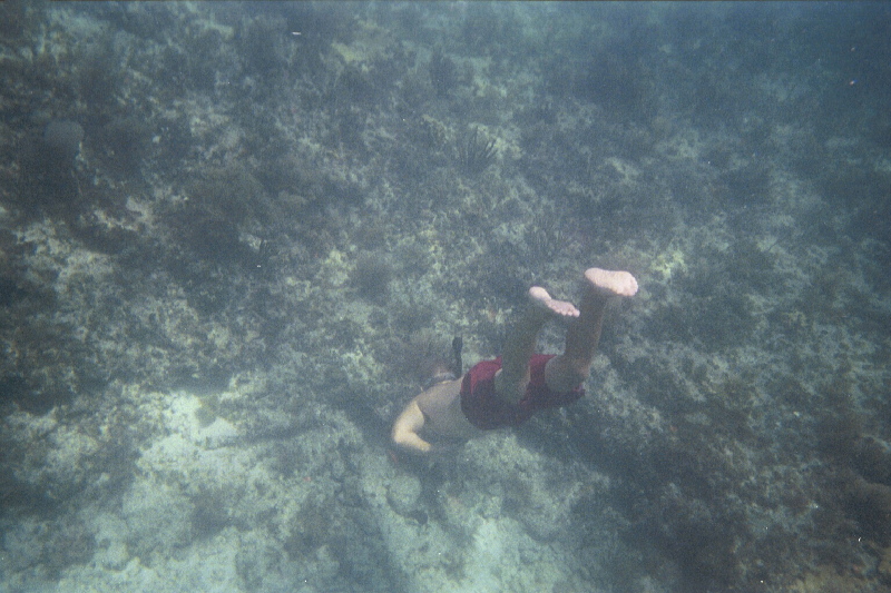Ben Snorkeling on Hen & Chickens Reef, 07/18/04