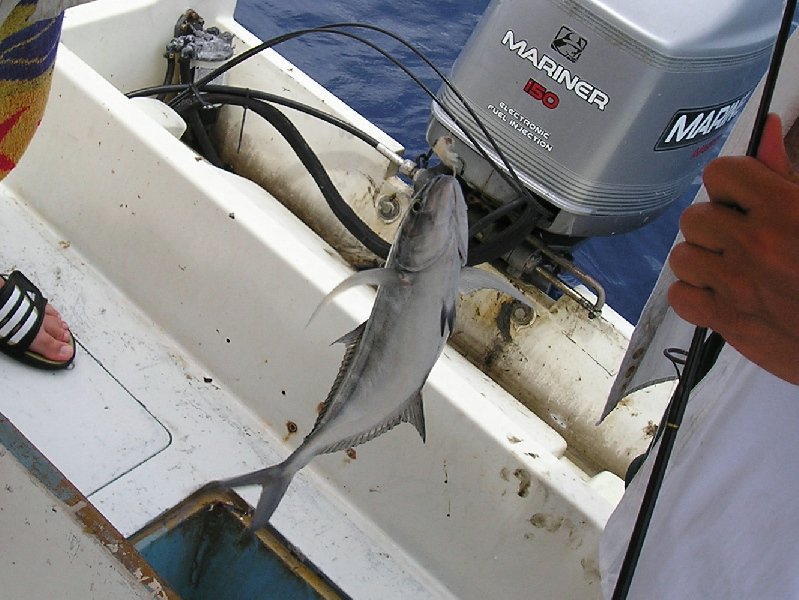 Skipjack, Eagle Wreck, 07/21/04